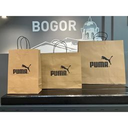 PAPERBAG PUMA