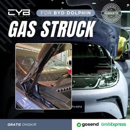 BYD Dolphin - Gas Struct