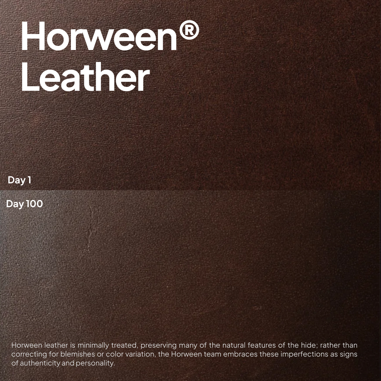 Nomad iPhone 17 Pro Case Magsafe Magnetic Leather Back Case - Black Horween NM014414858
