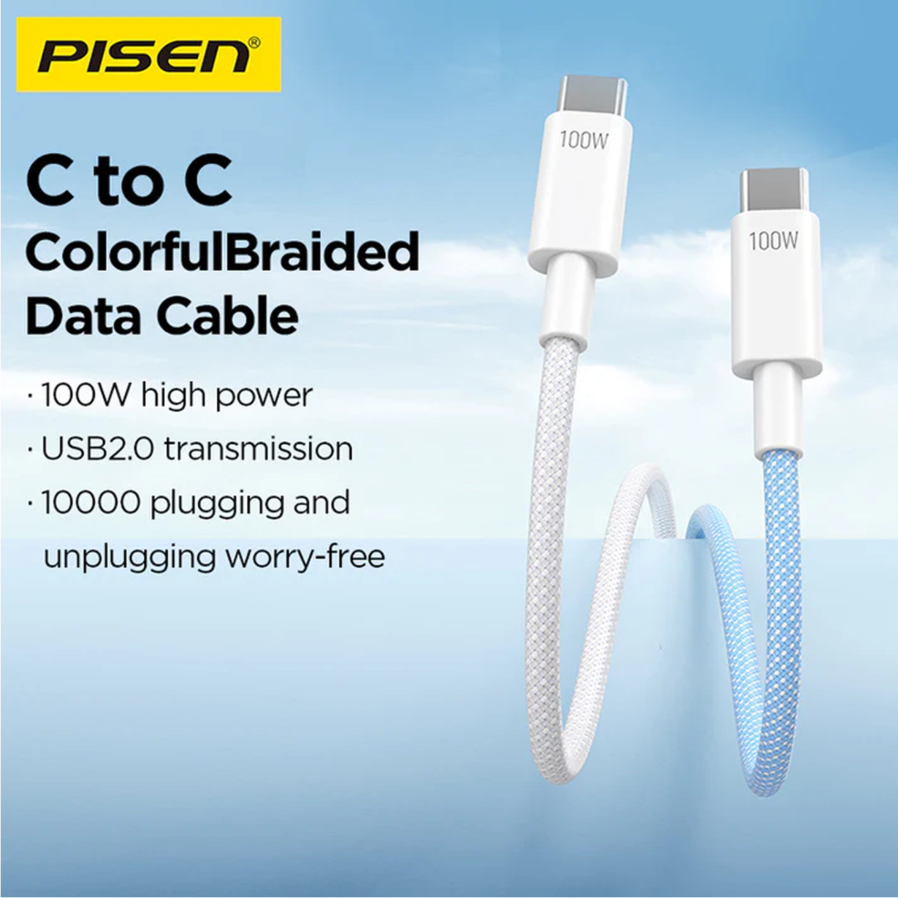 Pisen Kabel Charger USB C - USB C 100W Vivid Braided 1m - Gray CC12-1000